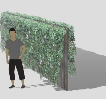木板围墙上的藤蔓SU模型下载_sketchup草图大师SKP模型