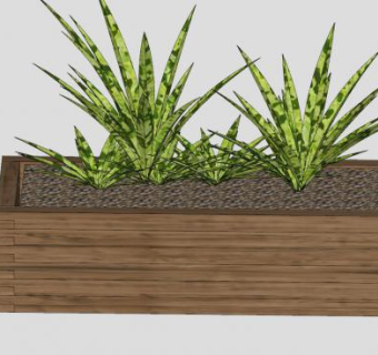 木盆栽观叶植物SU模型下载_sketchup草图大师SKP模型