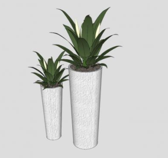 现代观叶植物盆栽SU模型下载_sketchup草图大师SKP模型