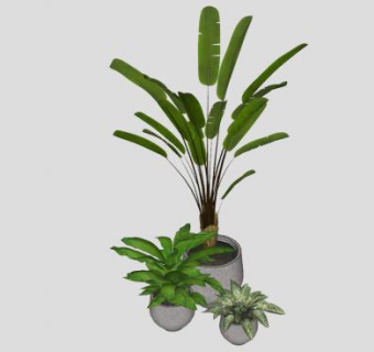 室内釉陶盆植物盆栽SU模型下载_sketchup草图大师SKP模型