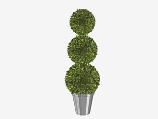球状造型室内植物SU模型下载_sketchup草图大师SKP模型