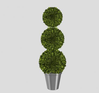 球状造型室内植物SU模型下载_sketchup草图大师SKP模型