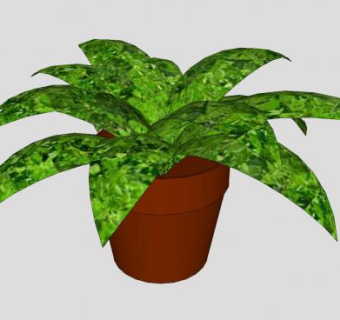 陶土花盆观叶植物SU模型下载_sketchup草图大师SKP模型