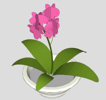 粉色花卉室内盆栽SU模型下载_sketchup草图大师SKP模型