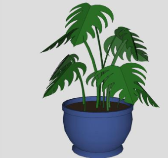 龟背竹盆栽植物SU模型下载_sketchup草图大师SKP模型