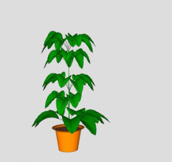 室内观叶植物SU模型下载_sketchup草图大师SKP模型