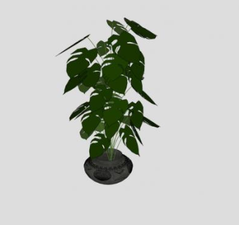 釉陶盆观叶盆栽SU模型下载_sketchup草图大师SKP模型