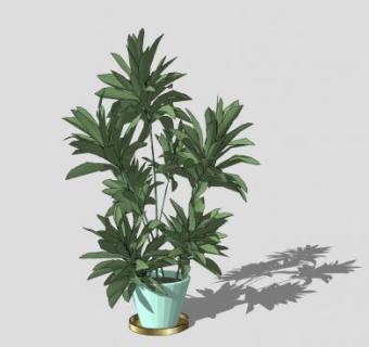 陶瓷花盆观叶植物SU模型下载_sketchup草图大师SKP模型