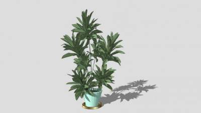 陶瓷花盆观叶植物SU模型下载_sketchup草图大师SKP模型