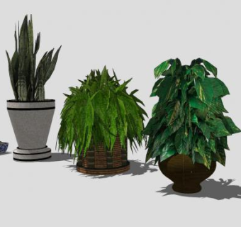 中式花盆植物盆栽SU模型下载_sketchup草图大师SKP模型