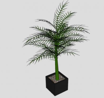 观枝干植物盆栽SU模型下载_sketchup草图大师SKP模型