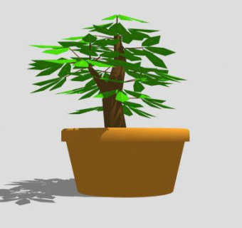 瓦盆盆栽室内植物SU模型下载_sketchup草图大师SKP模型
