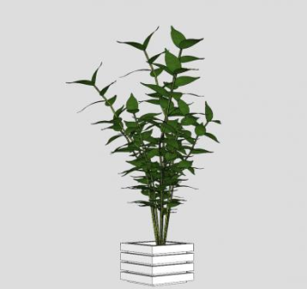 双子叶观叶盆栽SU模型下载_sketchup草图大师SKP模型