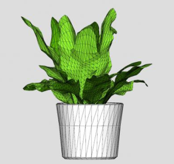 单子叶植物室内盆栽SU模型下载_sketchup草图大师SKP模型