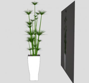 纸莎草植物瓷盆盆栽SU模型下载_sketchup草图大师SKP模型