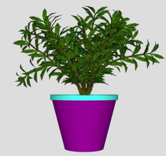 紫蓝色花盆盆栽SU模型下载_sketchup草图大师SKP模型