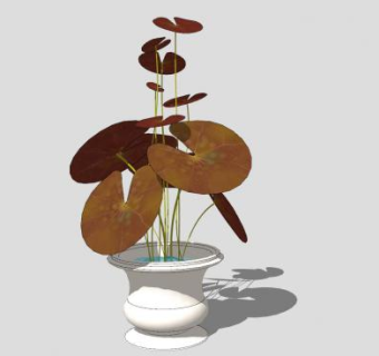 水生植物盆栽SU模型下载_sketchup草图大师SKP模型