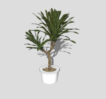 园林造诣观赏盆栽SU模型下载_sketchup草图大师SKP模型