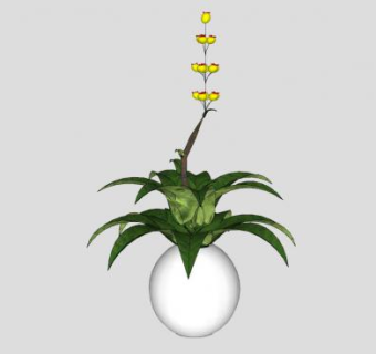 室内观花观叶植物SU模型下载_sketchup草图大师SKP模型