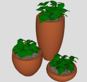 紫砂盆盆栽植物SU模型下载_sketchup草图大师SKP模型