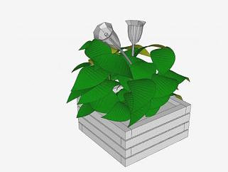 方形木盆栽花叶植物SU模型下载_sketchup草图大师SKP模型