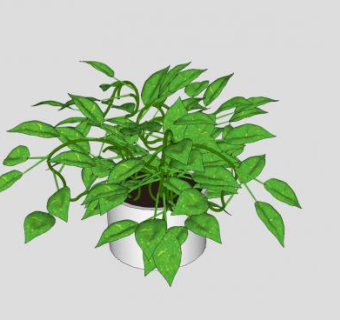 藤本植物盆栽SU模型下载_sketchup草图大师SKP模型