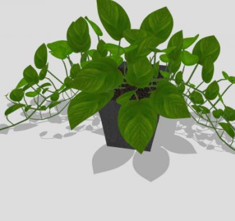 室内陈设藤蔓盆栽SU模型下载_sketchup草图大师SKP模型