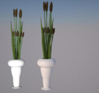 室内观赏花瓶植物SU模型下载_sketchup草图大师SKP模型