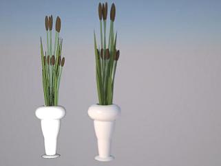 室内观赏<em>花瓶植物</em>SU模型下载_sketchup草图大师SKP模型