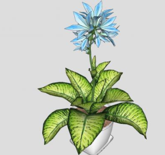 蓝色花卉绿叶盆栽SU模型下载_sketchup草图大师SKP模型