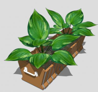 植物花槽盆栽SU模型下载_sketchup草图大师SKP模型