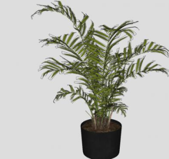 室内观赏盆栽SU模型下载_sketchup草图大师SKP模型