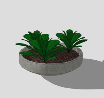 混凝土花盆植物SU模型下载_sketchup草图大师SKP模型