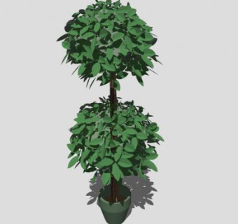 小乔木盆栽植物SU模型下载_sketchup草图大师SKP模型