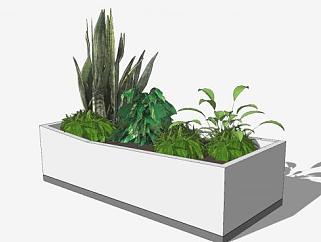 现代小型种植盆栽SU模型下载_sketchup草图大师SKP模型
