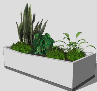 现代小型种植盆栽SU模型下载_sketchup草图大师SKP模型