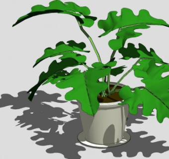 喜林芋属植物盆栽SU模型下载_sketchup草图大师SKP模型