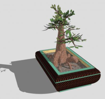 盆景榕树植物SU模型下载_sketchup草图大师SKP模型