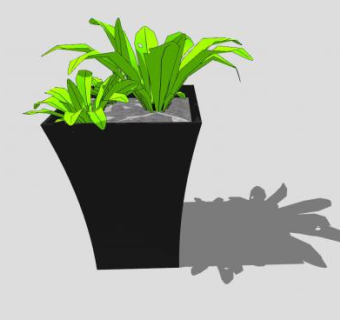 蕨类植物室内盆栽SU模型下载_sketchup草图大师SKP模型