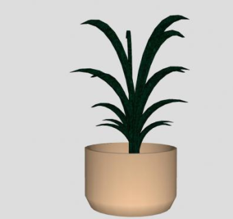 室内蕨类植物盆栽SU模型下载_sketchup草图大师SKP模型