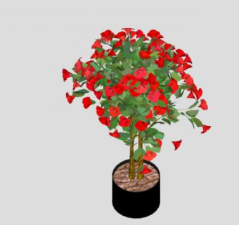 红花木槿树盆栽SU模型下载_sketchup草图大师SKP模型