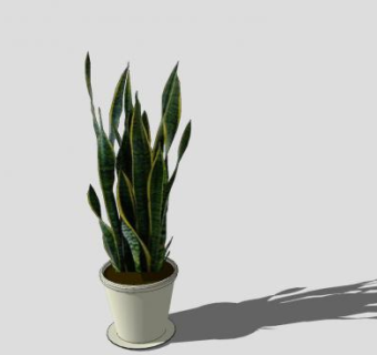 虎尾兰植物盆栽SU模型下载_sketchup草图大师SKP模型