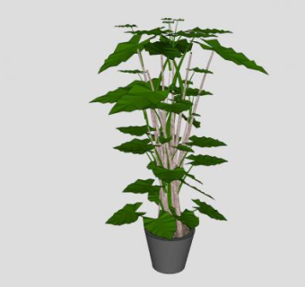 大型观叶植物盆栽SU模型下载_sketchup草图大师SKP模型