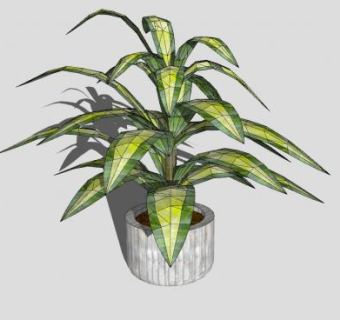 室内盆栽观叶植物SU模型下载_sketchup草图大师SKP模型