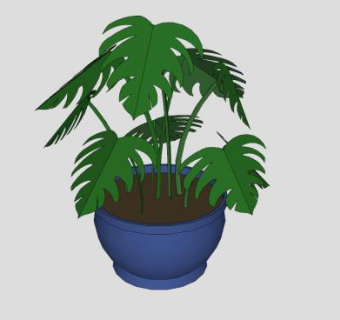 蓝色盆栽龟背竹植物SU模型下载_sketchup草图大师SKP模型