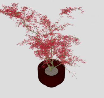 日本枫树盆栽SU模型下载_sketchup草图大师SKP模型