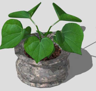 石材花盆植物SU模型下载_sketchup草图大师SKP模型