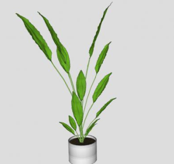 落地观叶植物花盆SU模型下载_sketchup草图大师SKP模型