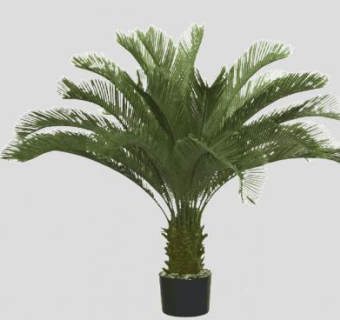 棕榈树盆栽盆景SU模型下载_sketchup草图大师SKP模型