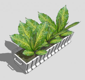 现代盆栽观叶植物SU模型下载_sketchup草图大师SKP模型